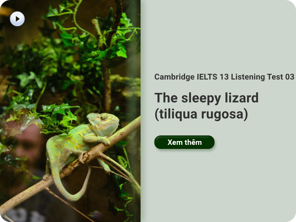 Cambridge IELTS 13 Listening Test 03: The sleepy lizard (tiliqua rugosa)