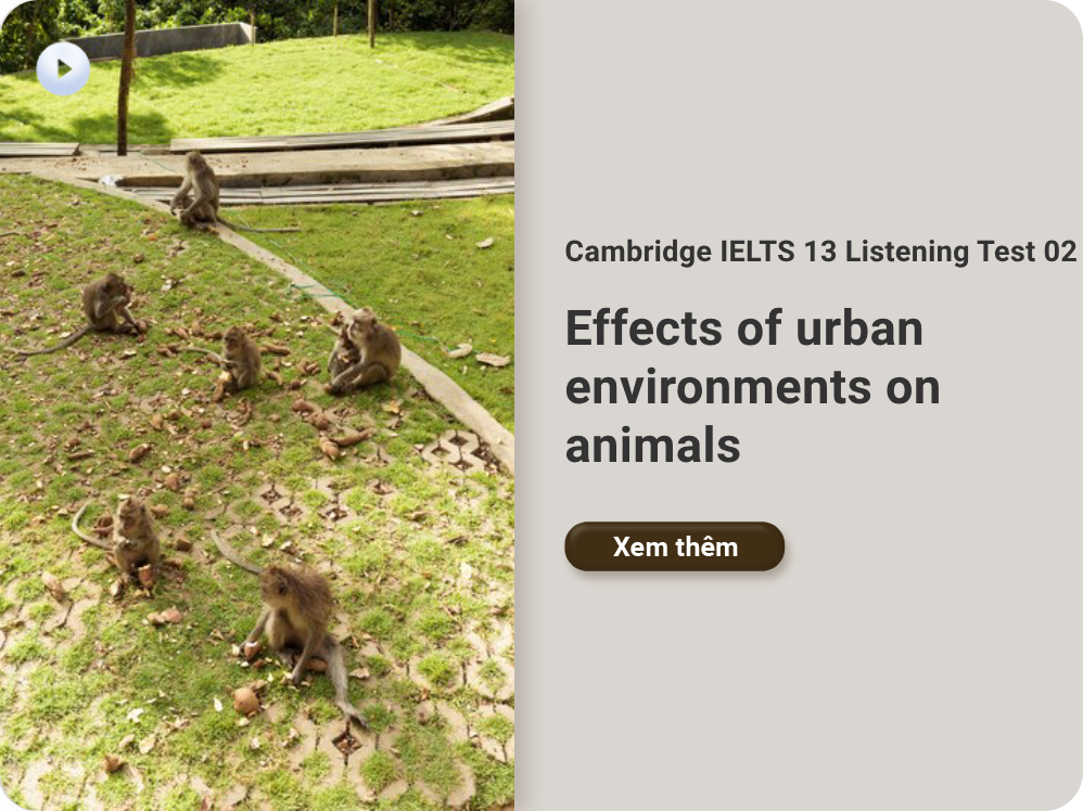 Cambridge IELTS 13 Listening Test 01: Effects of urban environments on animals