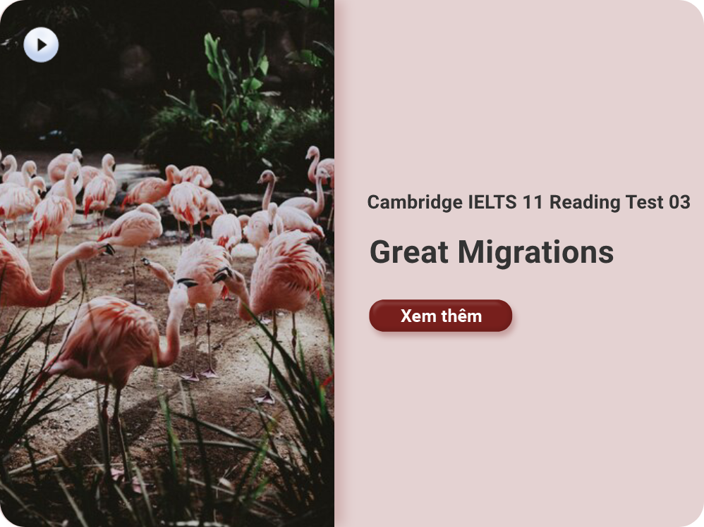 Cambridge IELTS 11 Reading Test 03: Great Migrations