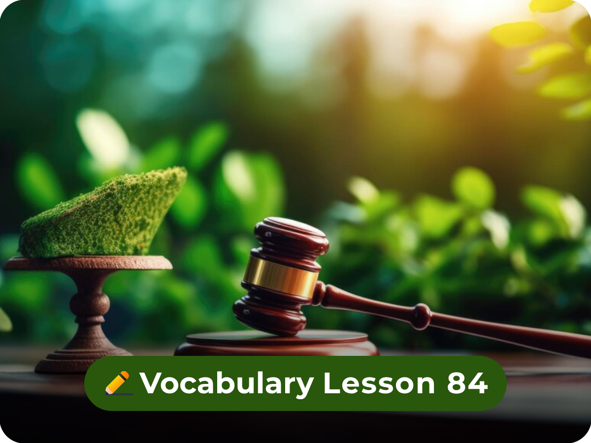 VOCABULARY LESSON 84