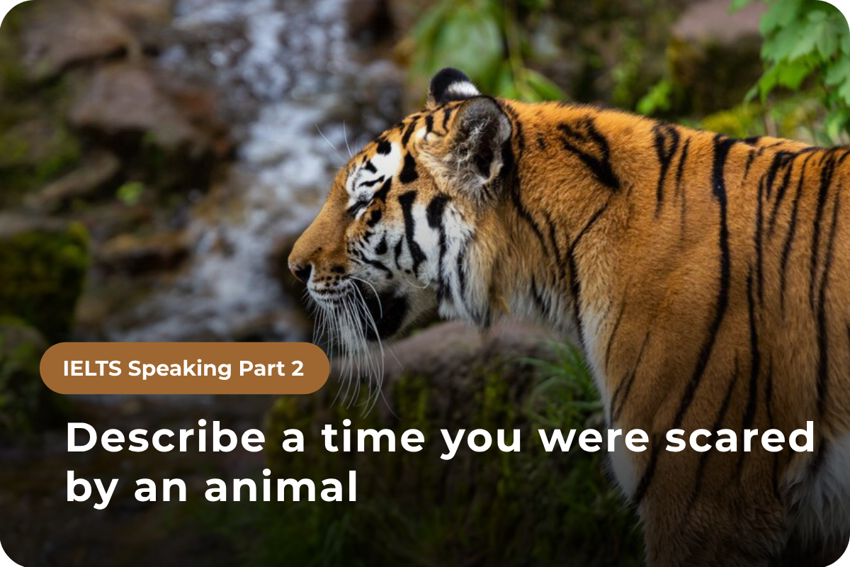 Speaking Part 2: Describe a time you were scared by an animal