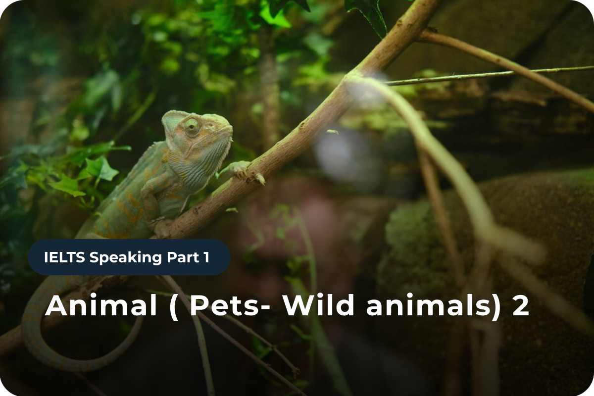 Speaking Part 1: Animal ( Pets- Wild animals) 2